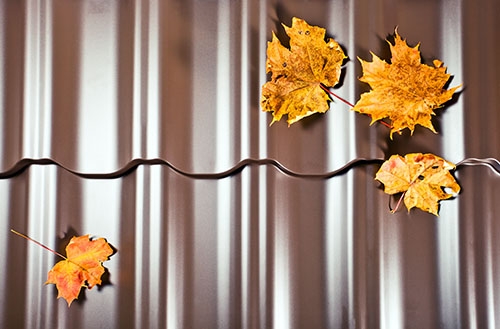 Top 5 Tips to Keep Up Your Metal Roof This Fall