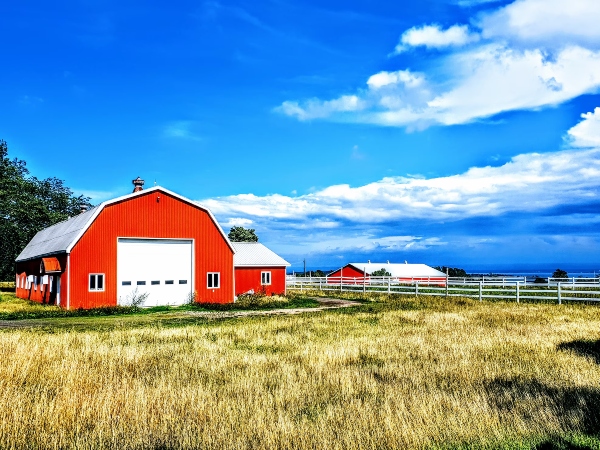 A red pole barn like the one pictured can be made even more stable, and cost-effective, using metal materials.
